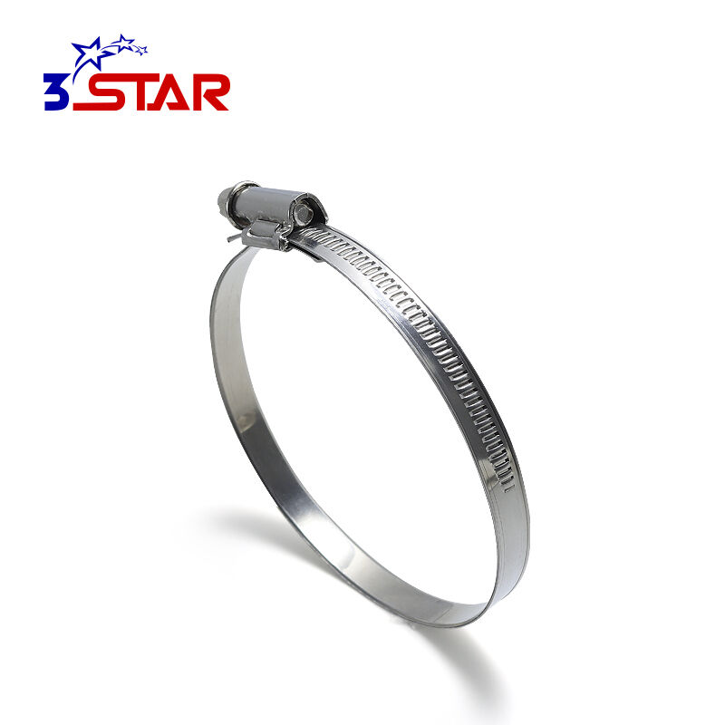 Aleman na Walang Ngipin na Panloob na Bandang Offset na Hose Clamp