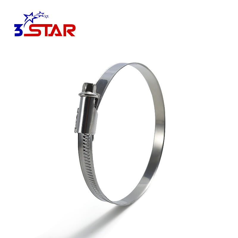 Aleman na Walang Ngipin na Panloob na Bandang Offset na Hose Clamp