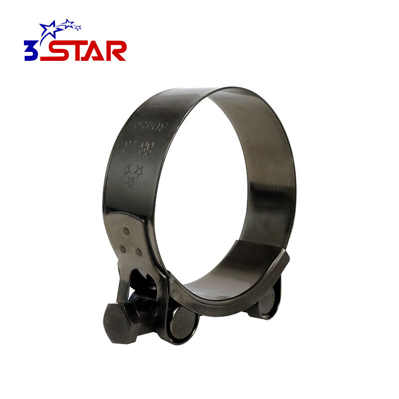 European Type Titanium Plating Hose Clamps
