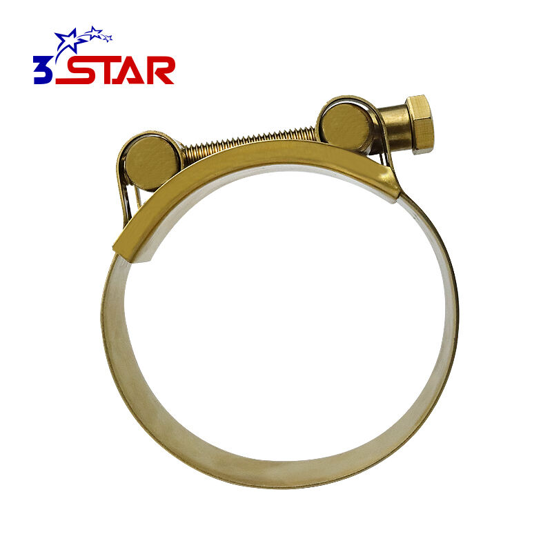 European Type Titanium Plating Hose Clamps
