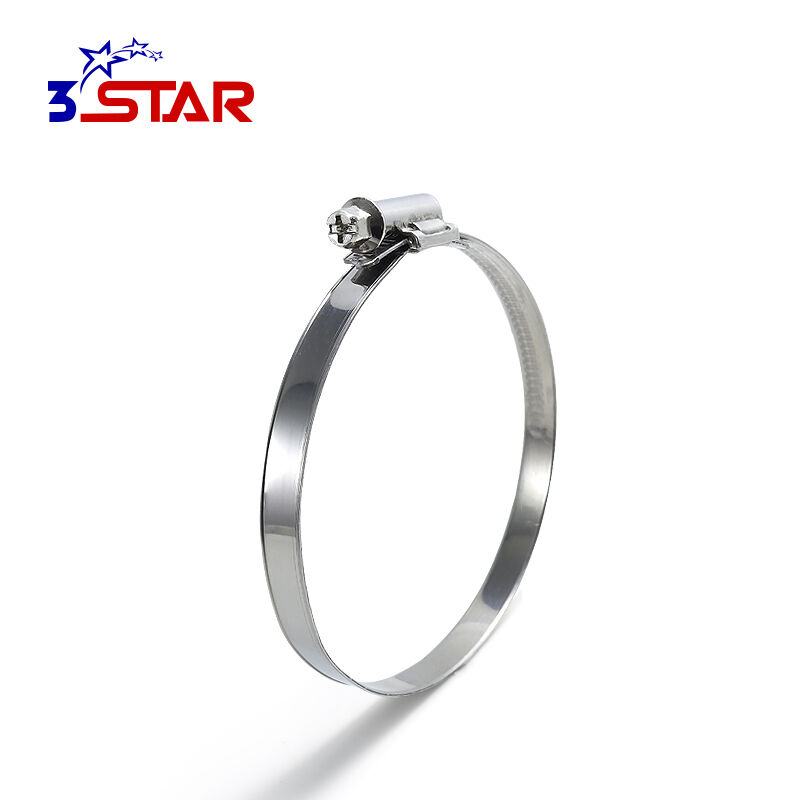 Aleman na Walang Ngipin na Panloob na Bandang Offset na Hose Clamp