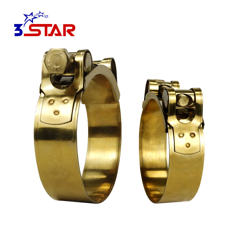 European Type Titanium Plating Hose Clamps