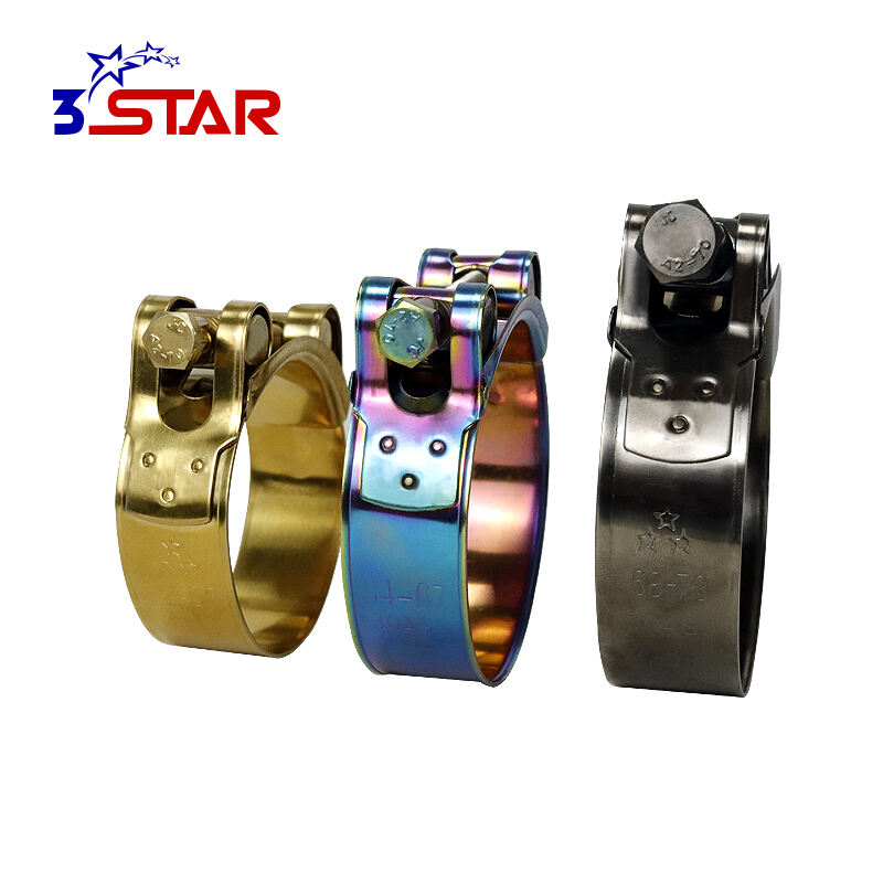 European Type Titanium Plating Hose Clamps