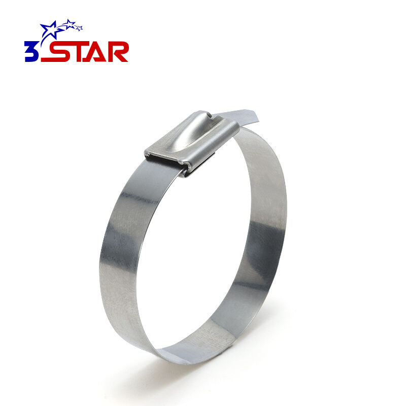 Stainless Steel Cable Tie