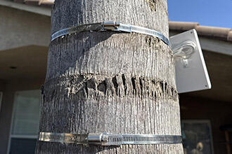 DIY Adjustable Hose Clamp