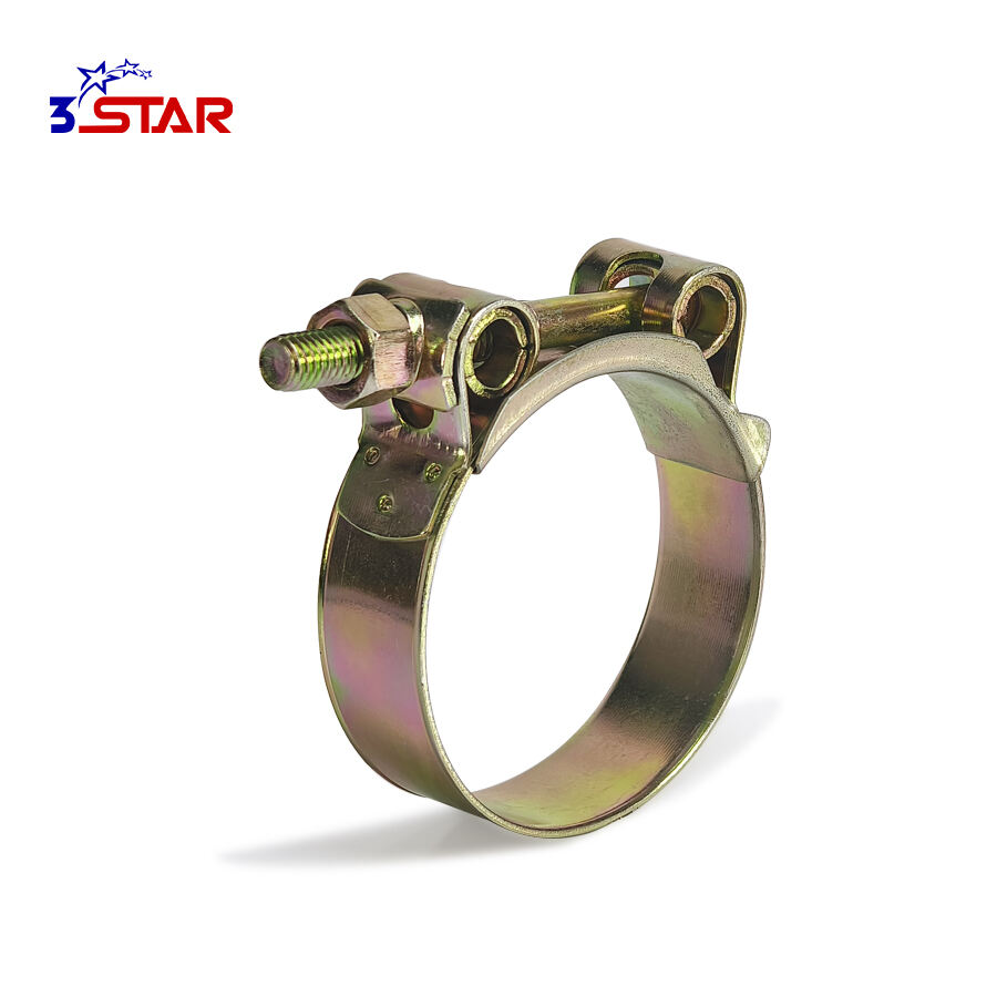 Avropa Üslubu Boşqalıqli Şlanqr Klemzası Cənubi Amerika Növü