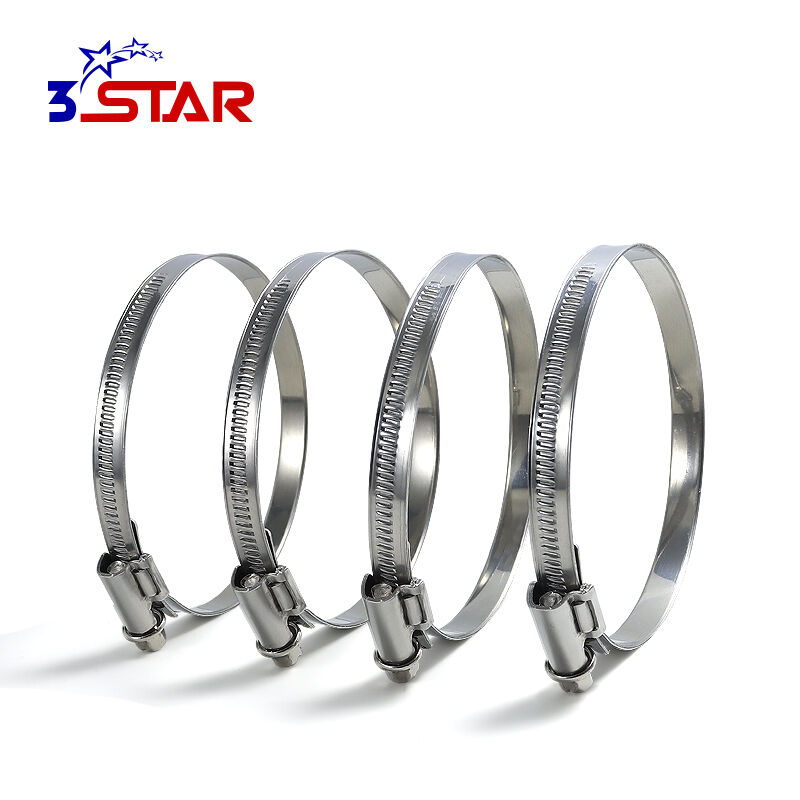 Aleman na Walang Ngipin na Panloob na Bandang Offset na Hose Clamp