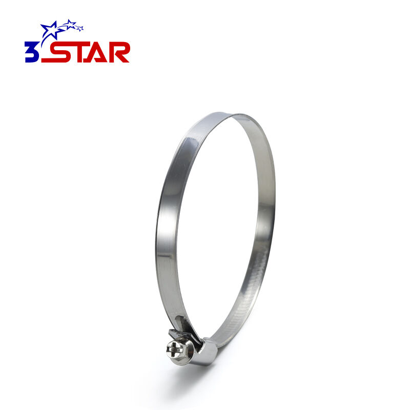 Aleman na Walang Ngipin na Panloob na Bandang Offset na Hose Clamp