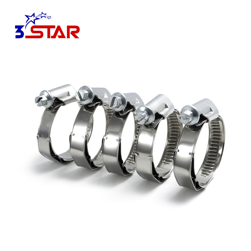 Partial Head German Type Hose Clamp With Spring (6).jpg