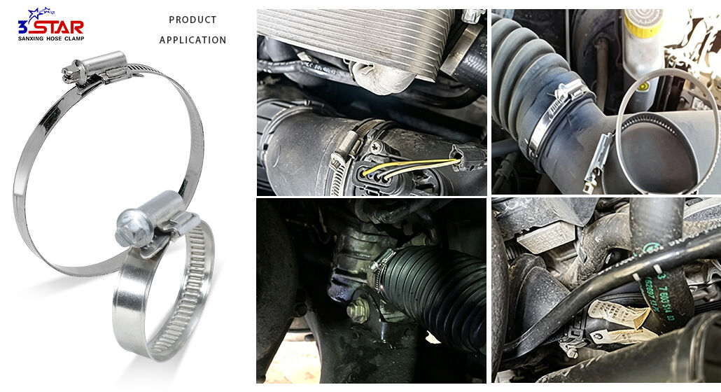 Partial Head German Type Hose Clamp.jpg