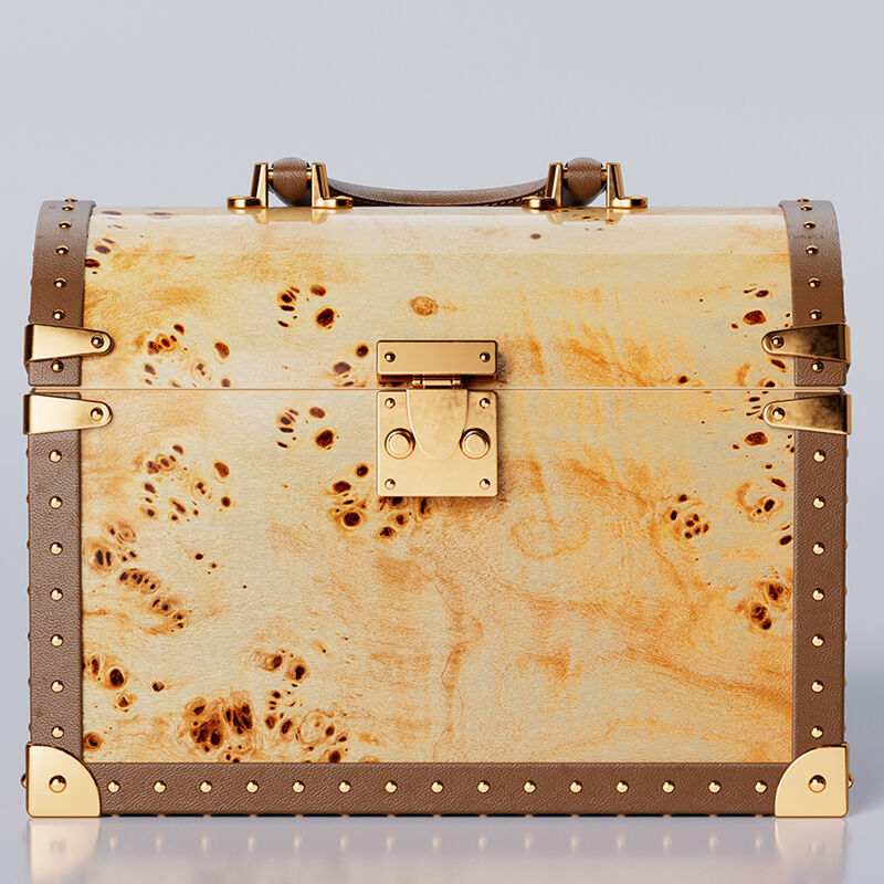 Nelyginamas saugumo funkcijas mūsų užrakinamose papuošalų dėžutėse