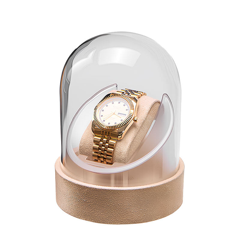 Glass Dome Watch Box