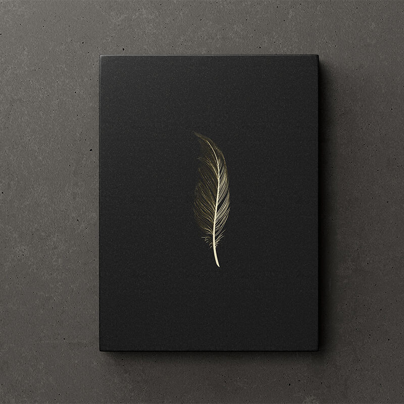 Feather Print Decorative Clothing Box