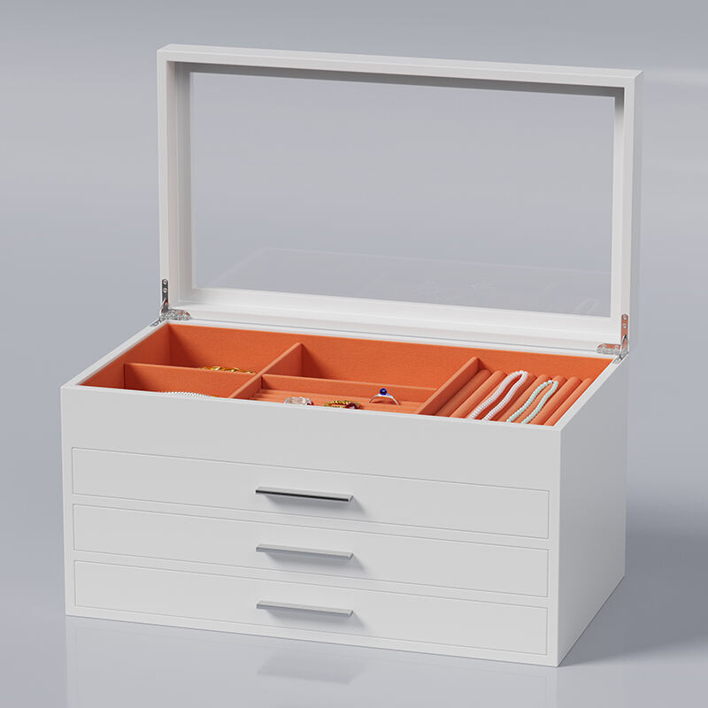 Multi-Layer Jewelry Organizer Storage Case