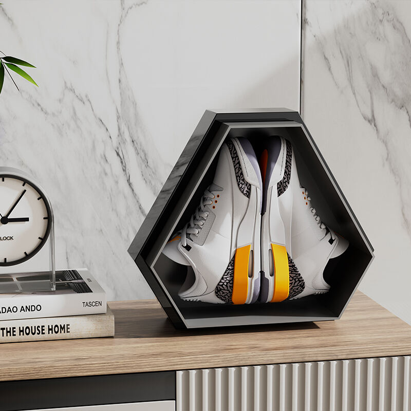 Modern Triangular Shoe Storage Box