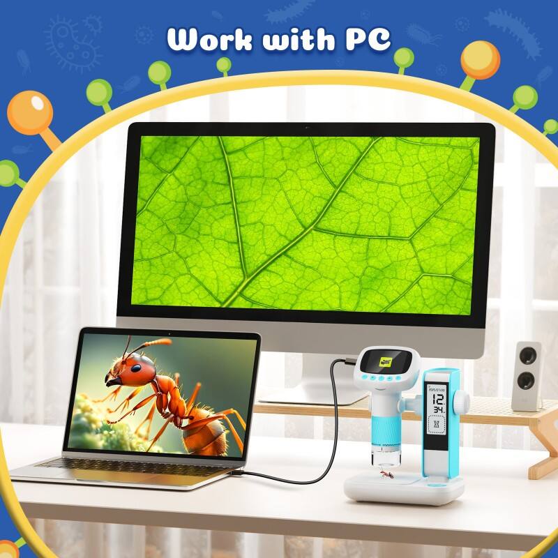 Connectivité et gestion des données