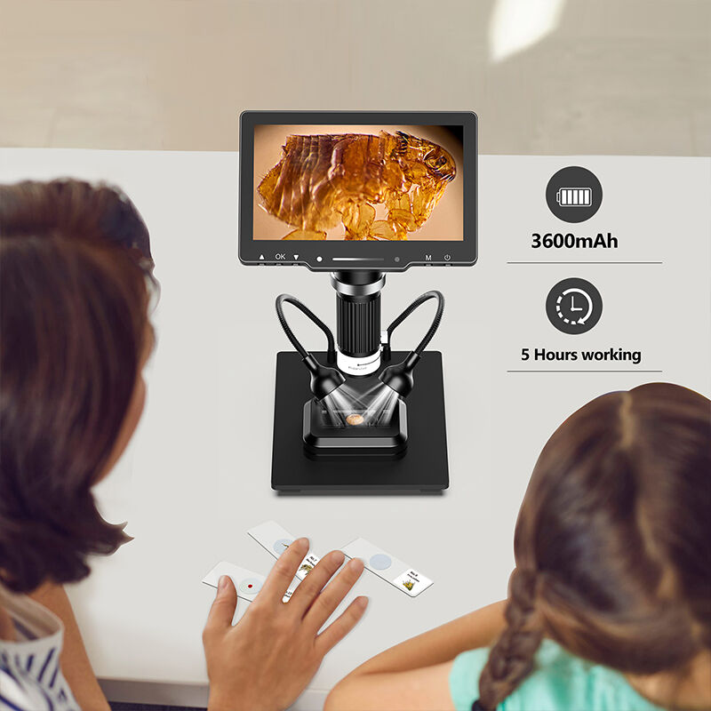 Scalable Investment Options