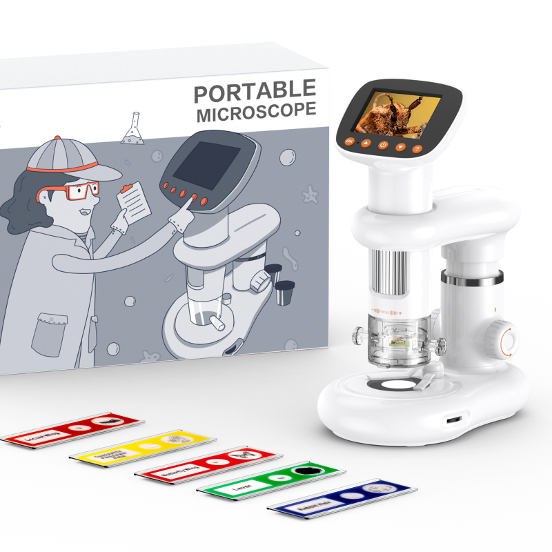 Feature Integration and Connectivity Options