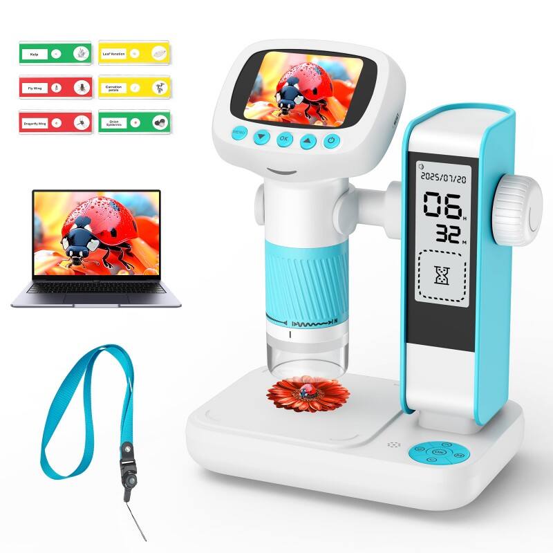 Fonctionnalités d'Apprentissage Interactif