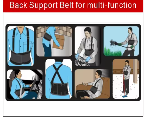 Wholesale Professional Safety Waist Trainer Lower Back Support Belt