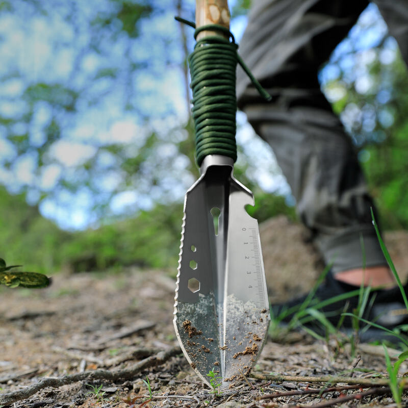 Advanced Energy Management and Sustainability Features