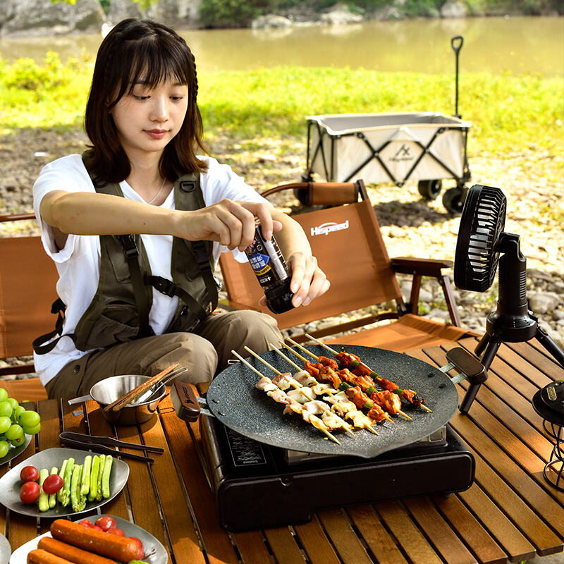 Design Ergonômico e Recursos de Mobilidade