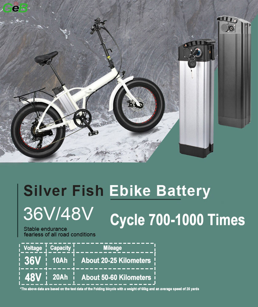 GeB 48V Silverfish bakmonterad e-bicykelbatteri för vikbara och stadscyklar
