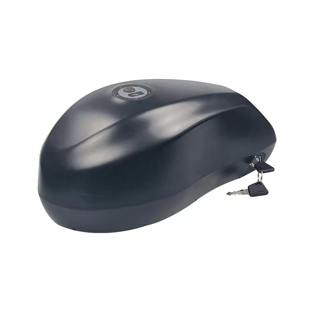 GeB CANON 1 High-Performance E-Bike Battery | 48V 35AH | 40A BMS | 1500W Motor Power