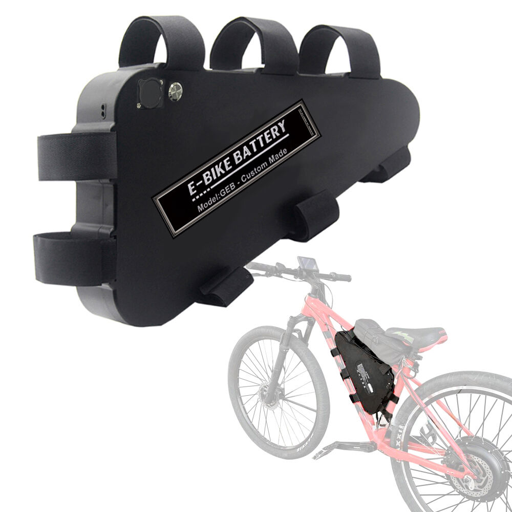 Expedieri record de baterii pentru biciclete electrice și expansiune strategică la nivel global