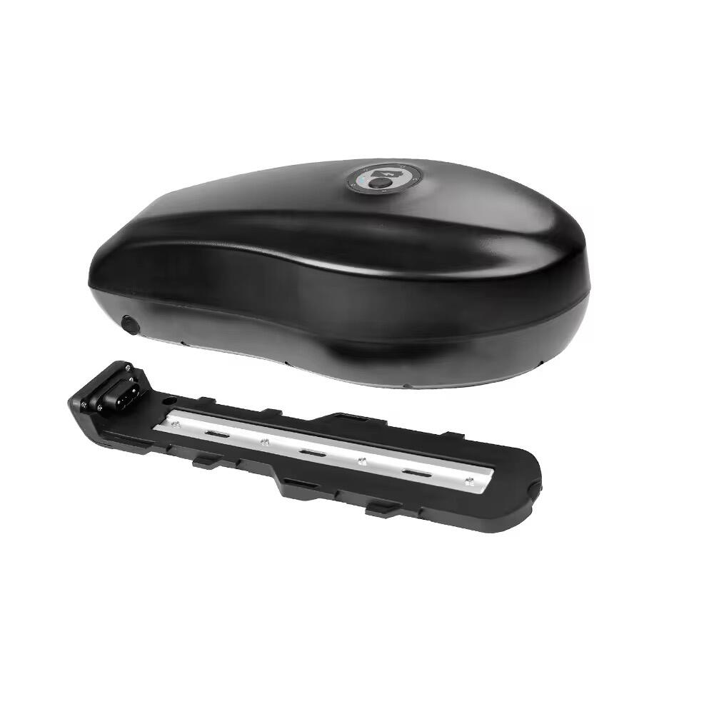 GeB CANON 1 High-Performance E-Bike Battery | 48V 35AH | 40A BMS | 1500W Motor Power