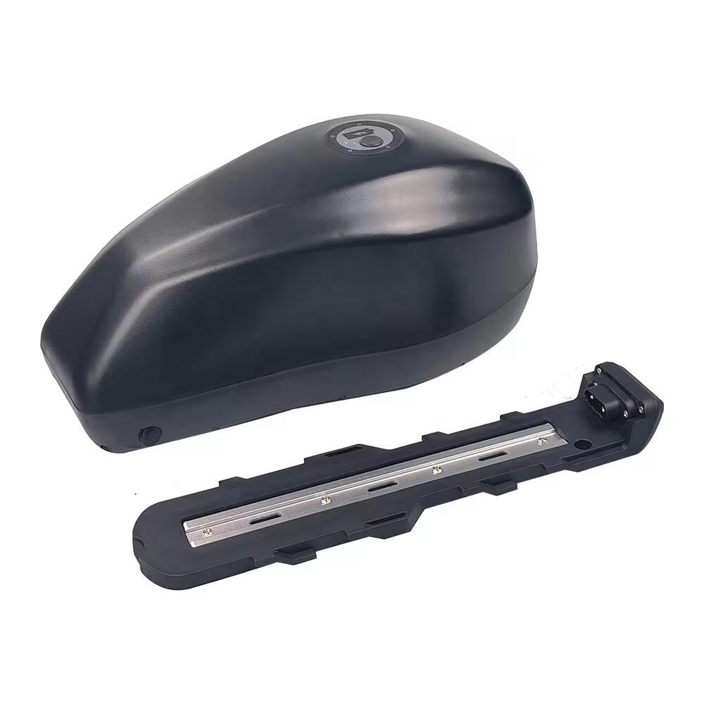 GeB CANON 1 High-Performance E-Bike Battery | 48V 35AH | 40A BMS | 1500W Motor Power