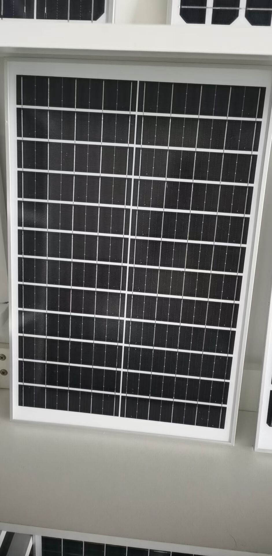 Exceptional Durability and Weather Resistance