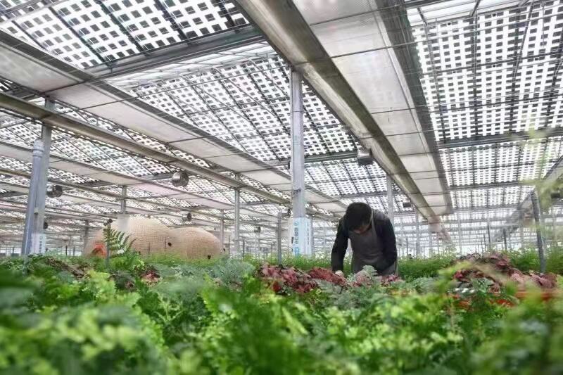 Универсальное применение и экономичная установка