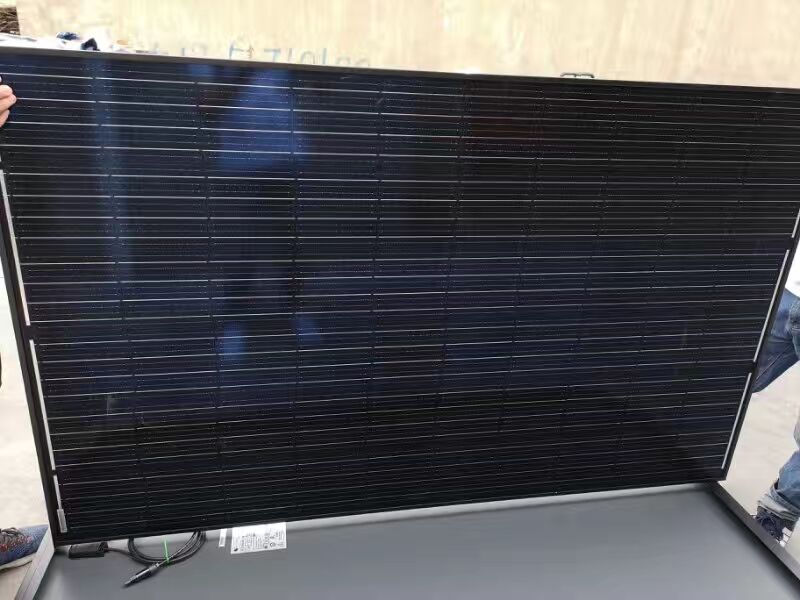 Global Market Leadership and Sustainable Innovation