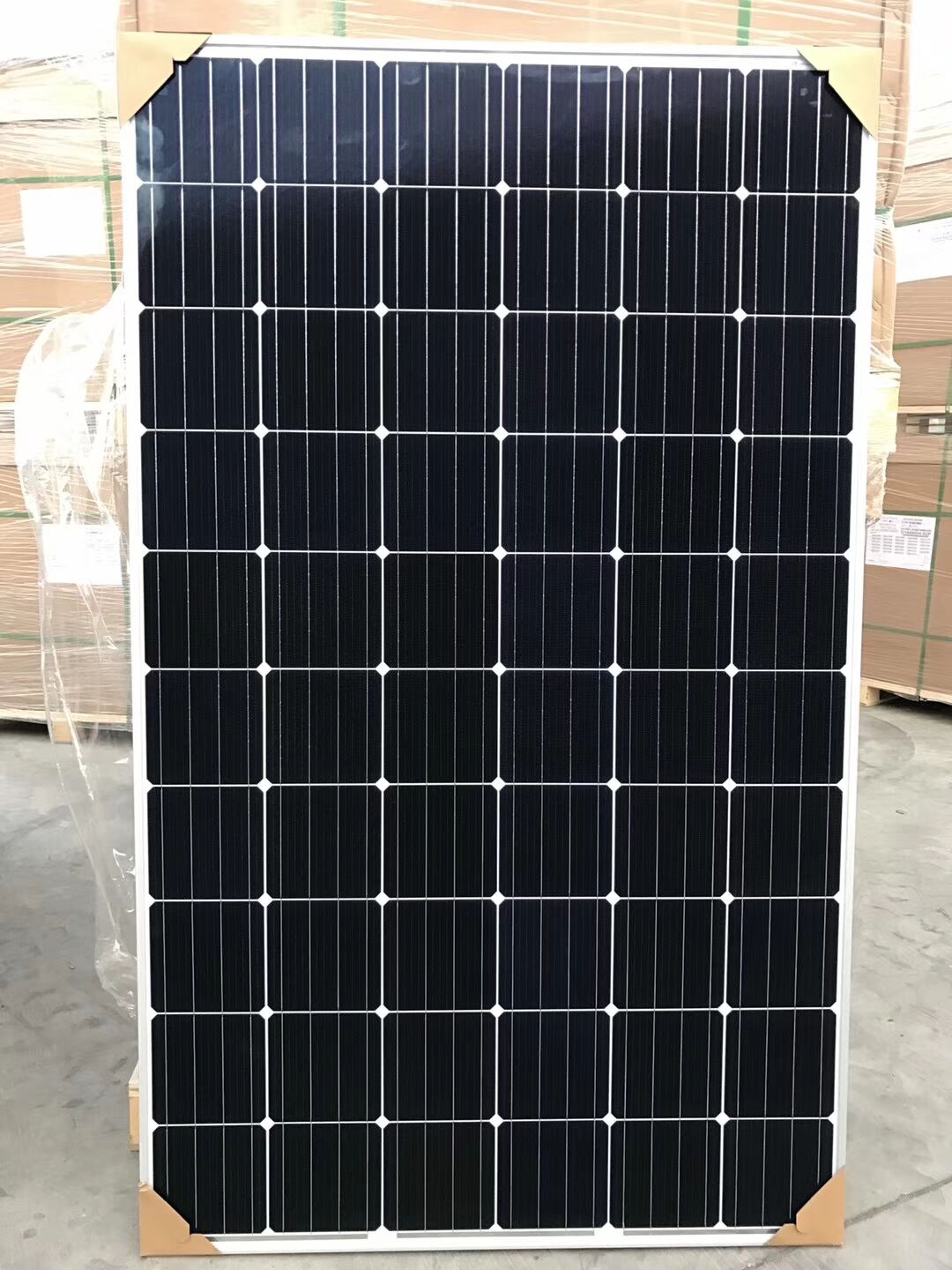 Cost-Effective Solar Solutions for Budget-Conscious Consumers