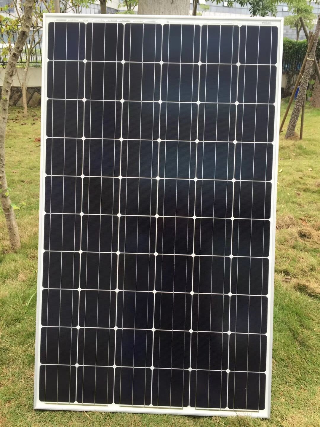 Exceptional Durability and Weather Resistance