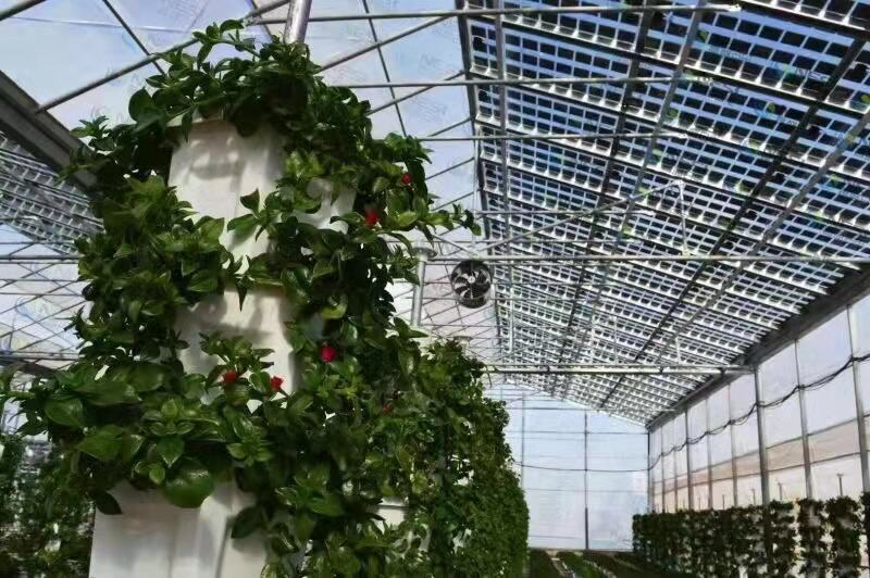 Ekstrem sənaye iqlimlərində ən yaxşı dayanıqlılığı təmin edən günəş panelləri hansılardır?