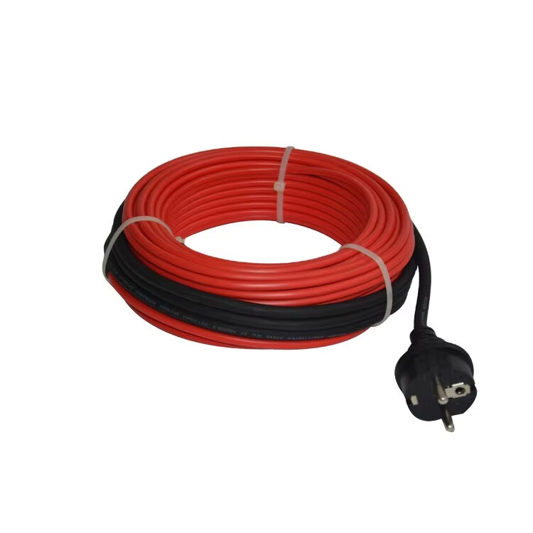 Ზამთრისთვის ულტიმატიური ამონახსნი: გათბობადი წყლის გამშვები სისტემები