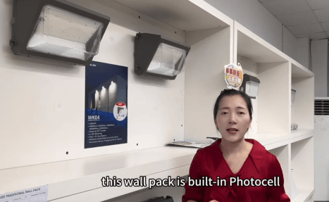 LED Wandmontage Lamp-WK04
