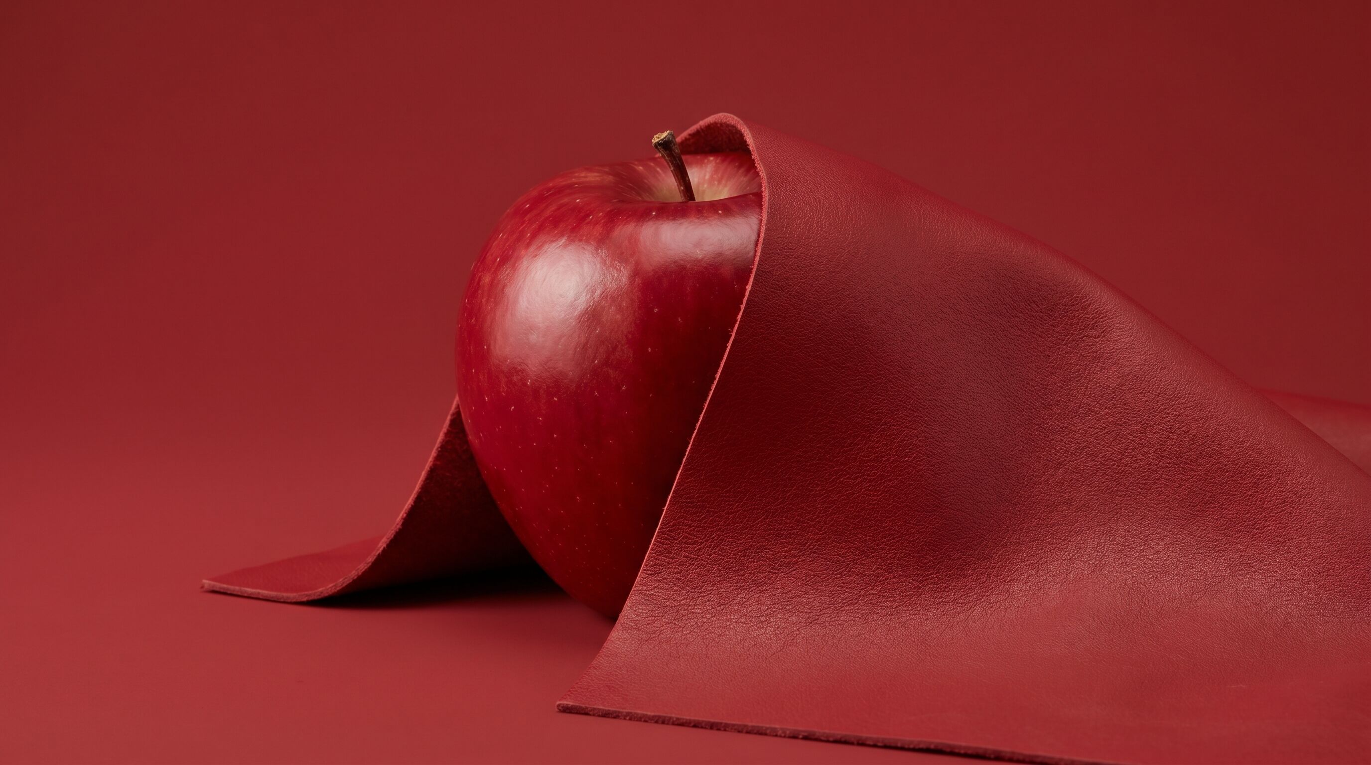 The Future of Sustainable Materials: A Deep Dive into Apple Leather