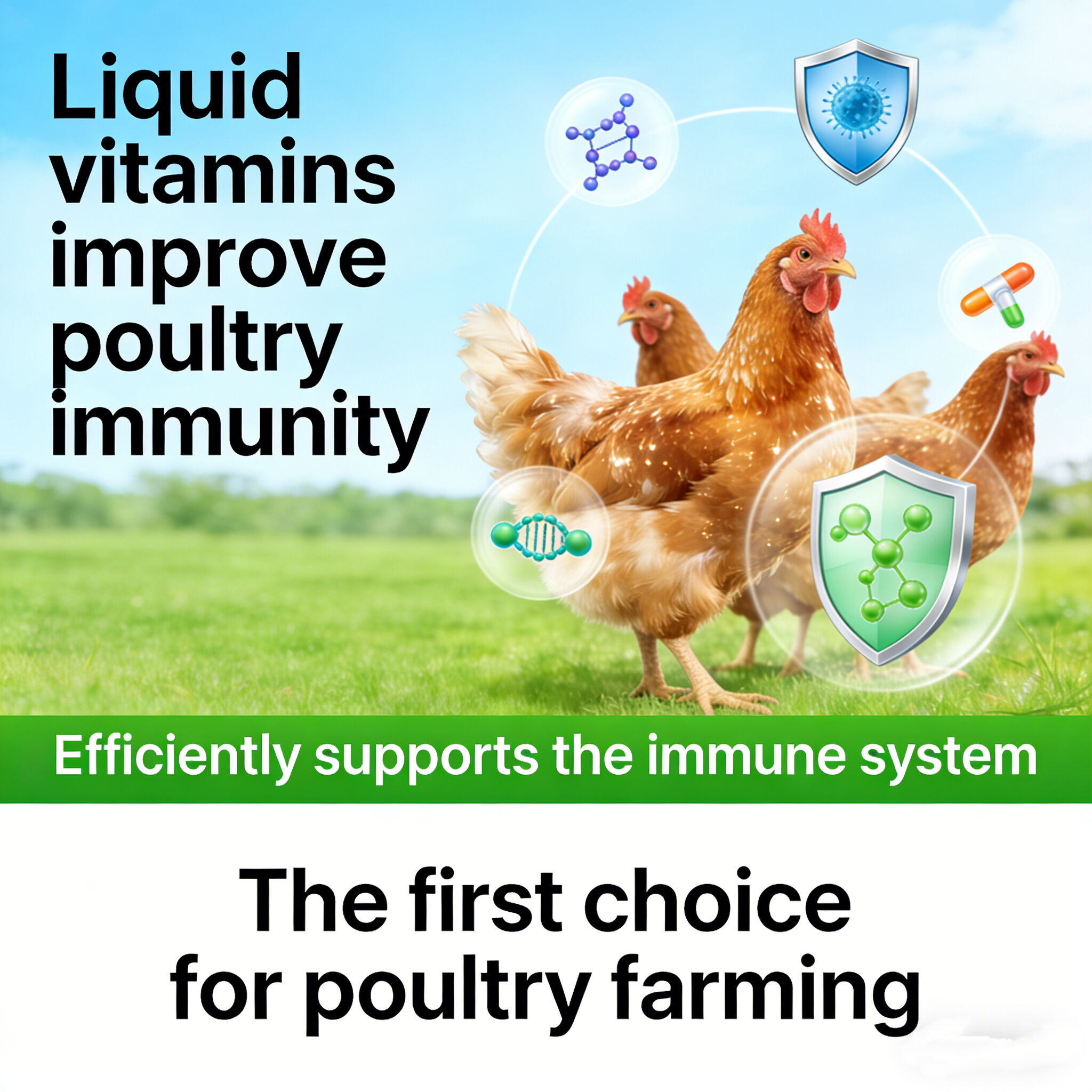 Unlocking the Power of Vitamin A for Immune Function