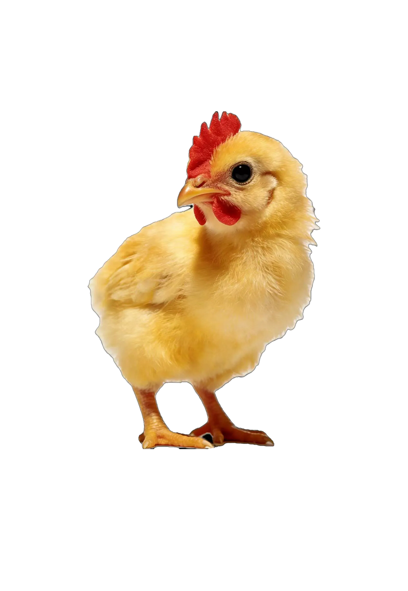 مزايانا