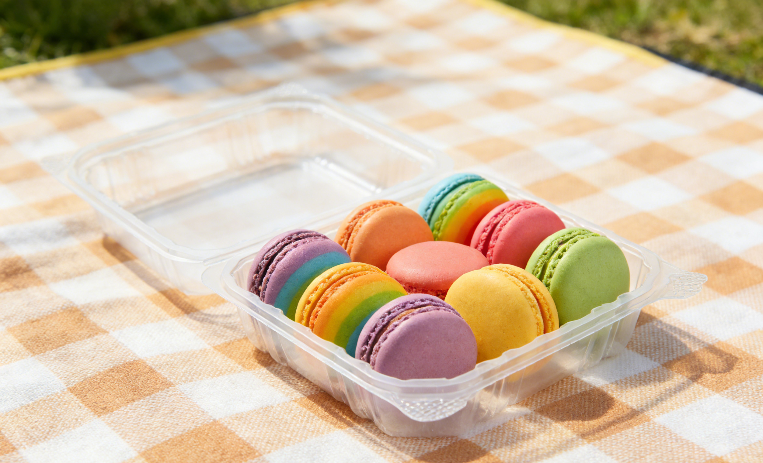 Clamshell Container-2