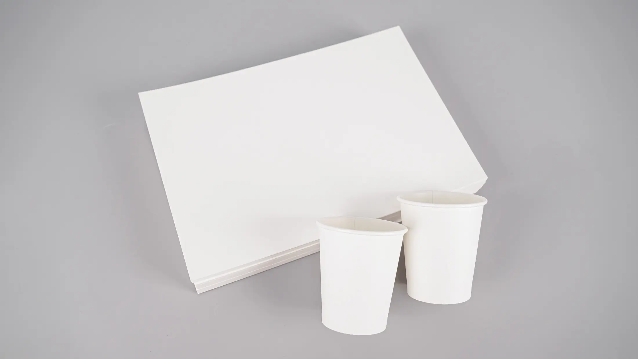 Buy Cup Stock Paper | Food-Grade Paperboard for Disposable Cups | Bulk Suppliers