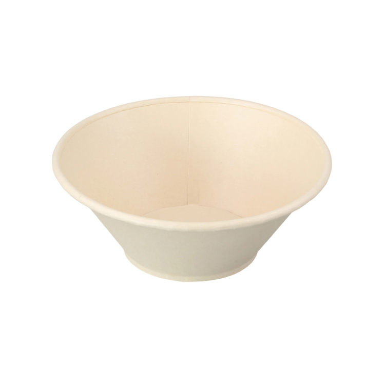 Paper Bowl
