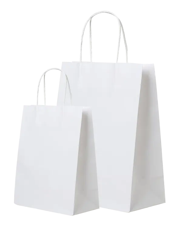 Sacs en papier grands formats | Sacs premium et écologiques en vrac pour la vente au détail et les cadeaux