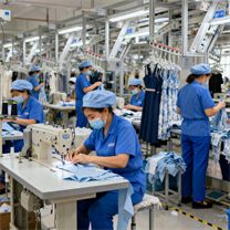 2 WEEK Bulk Production