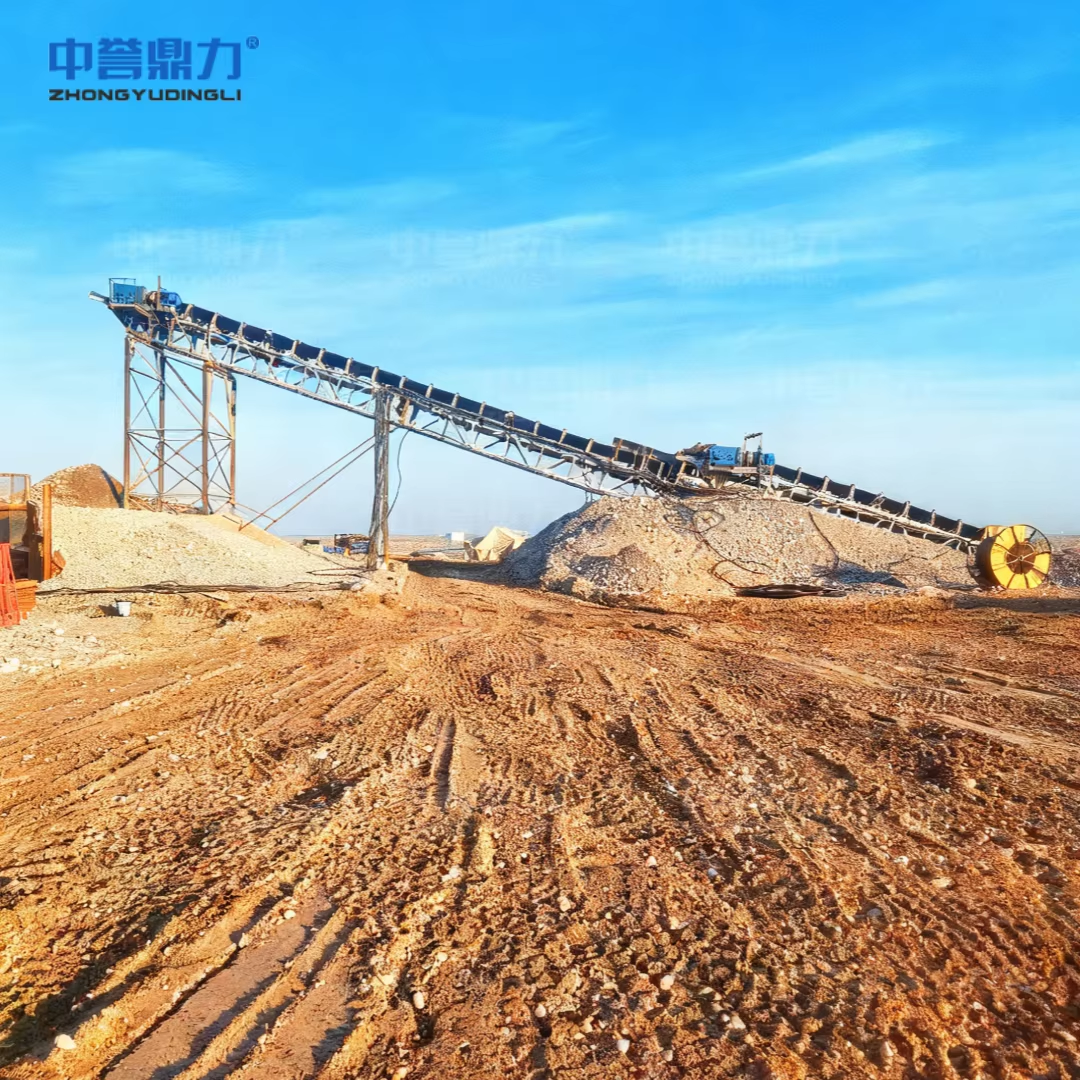 Customized Complete Mining Dressing Line Gold Ore