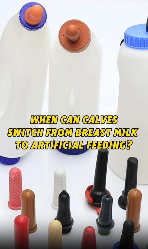 Recommended Calf Feeding Products