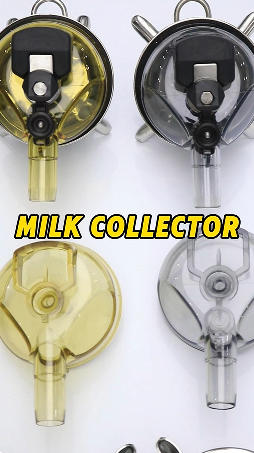 Multiple Milk Collectors for Milking Machines